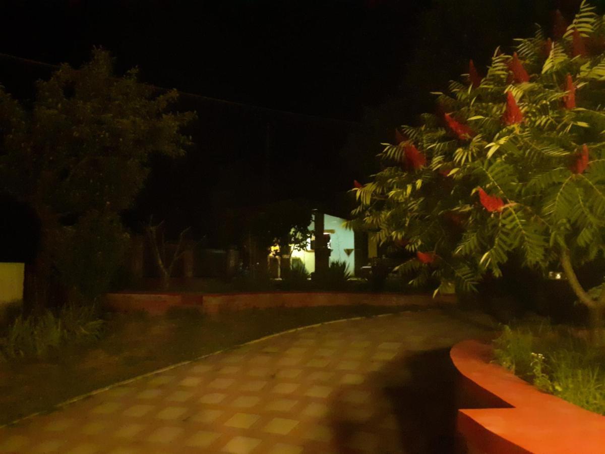 Village House Moo Moo Vranje Exterior foto